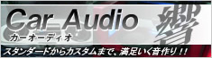 CarAudio